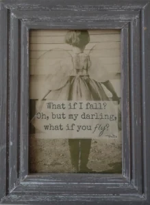 Foto ter inspiratie, What if I fall? Oh but my darling, what if you fly?